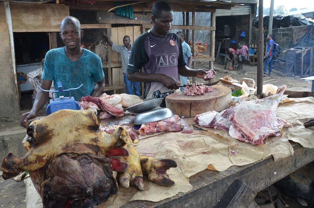 Dossier Sécurité alimentaire : la Côte d'Ivoire vise l'autosuffisance en protéines animales et halieutiques